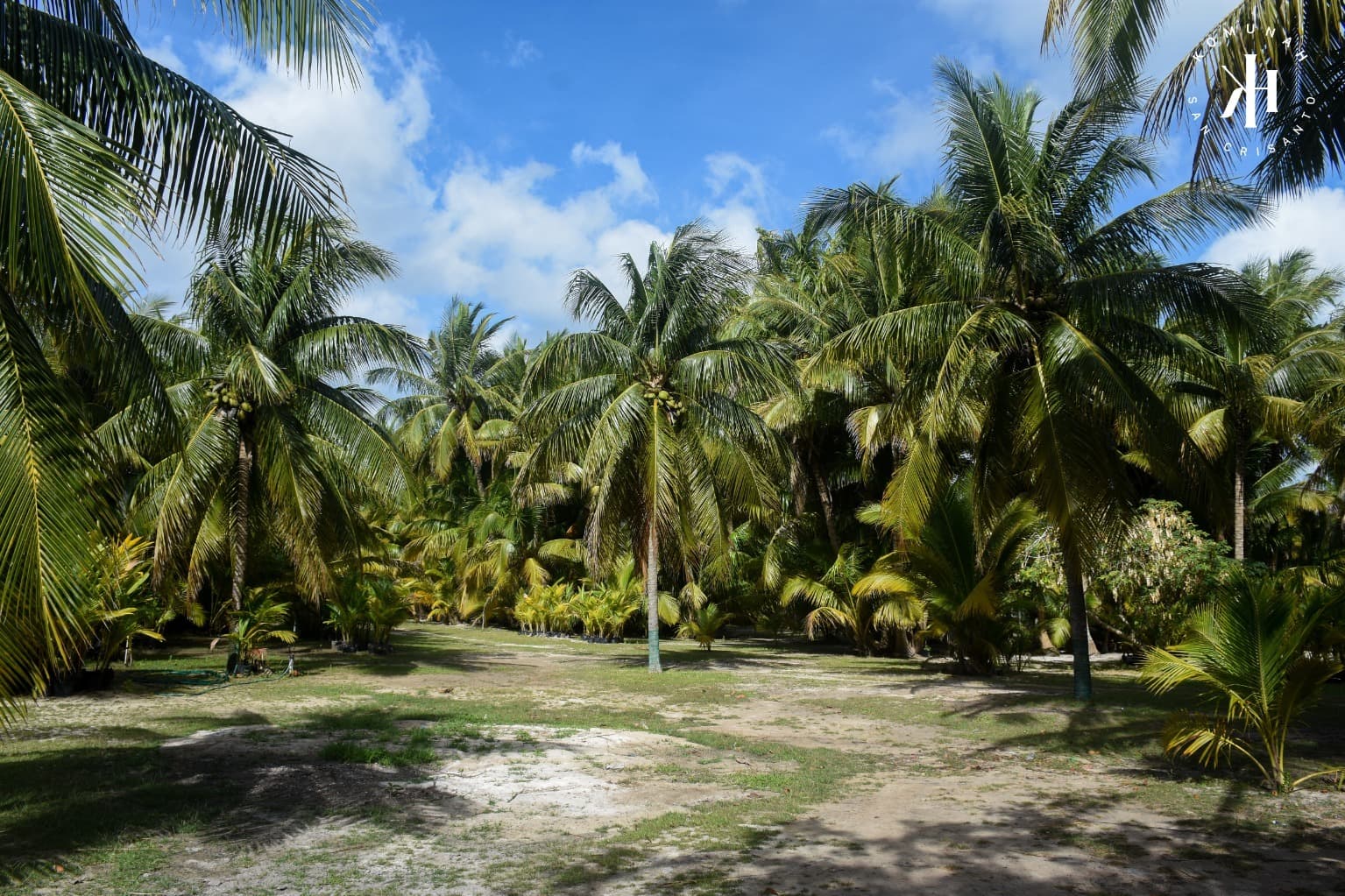 image-23