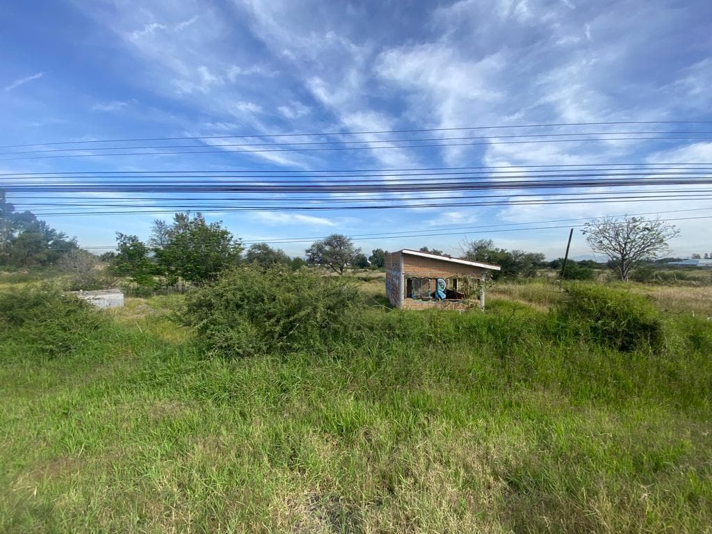 image-2