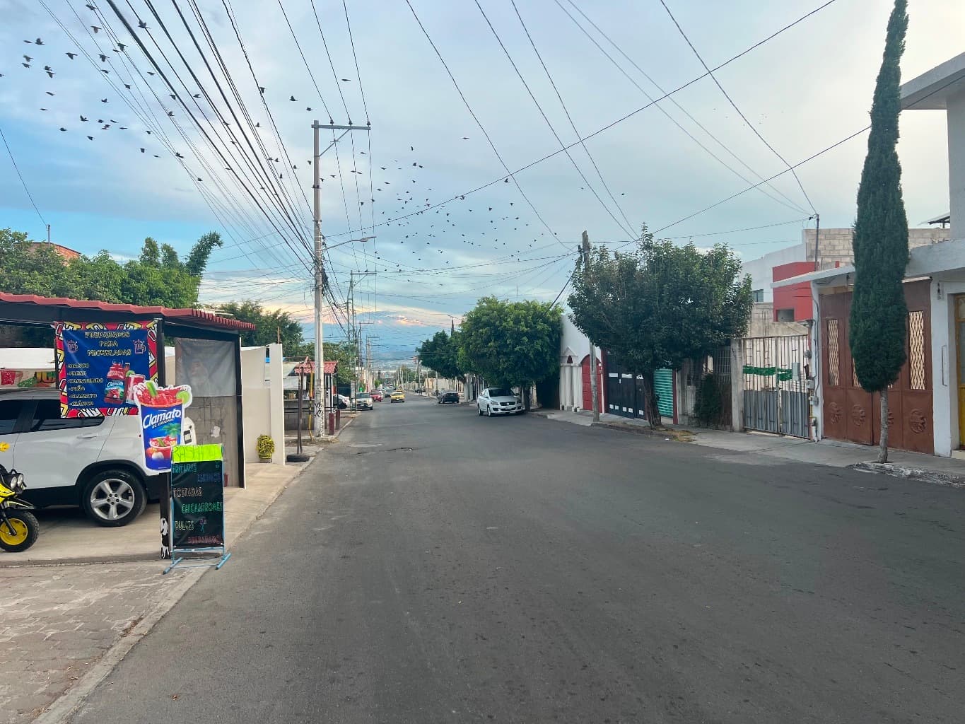 image-11