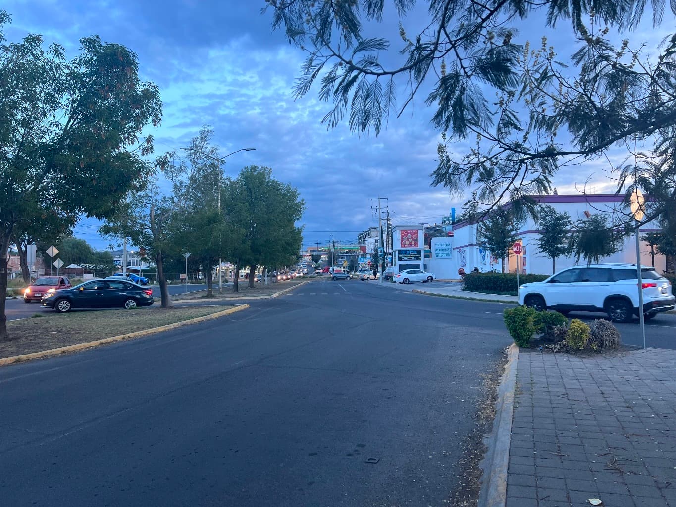 image-7
