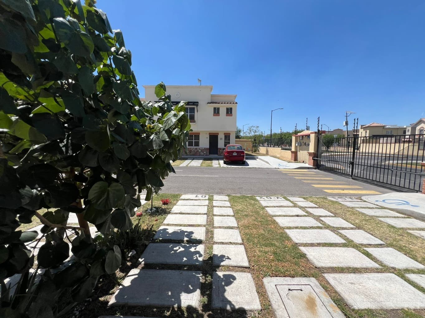 image-6