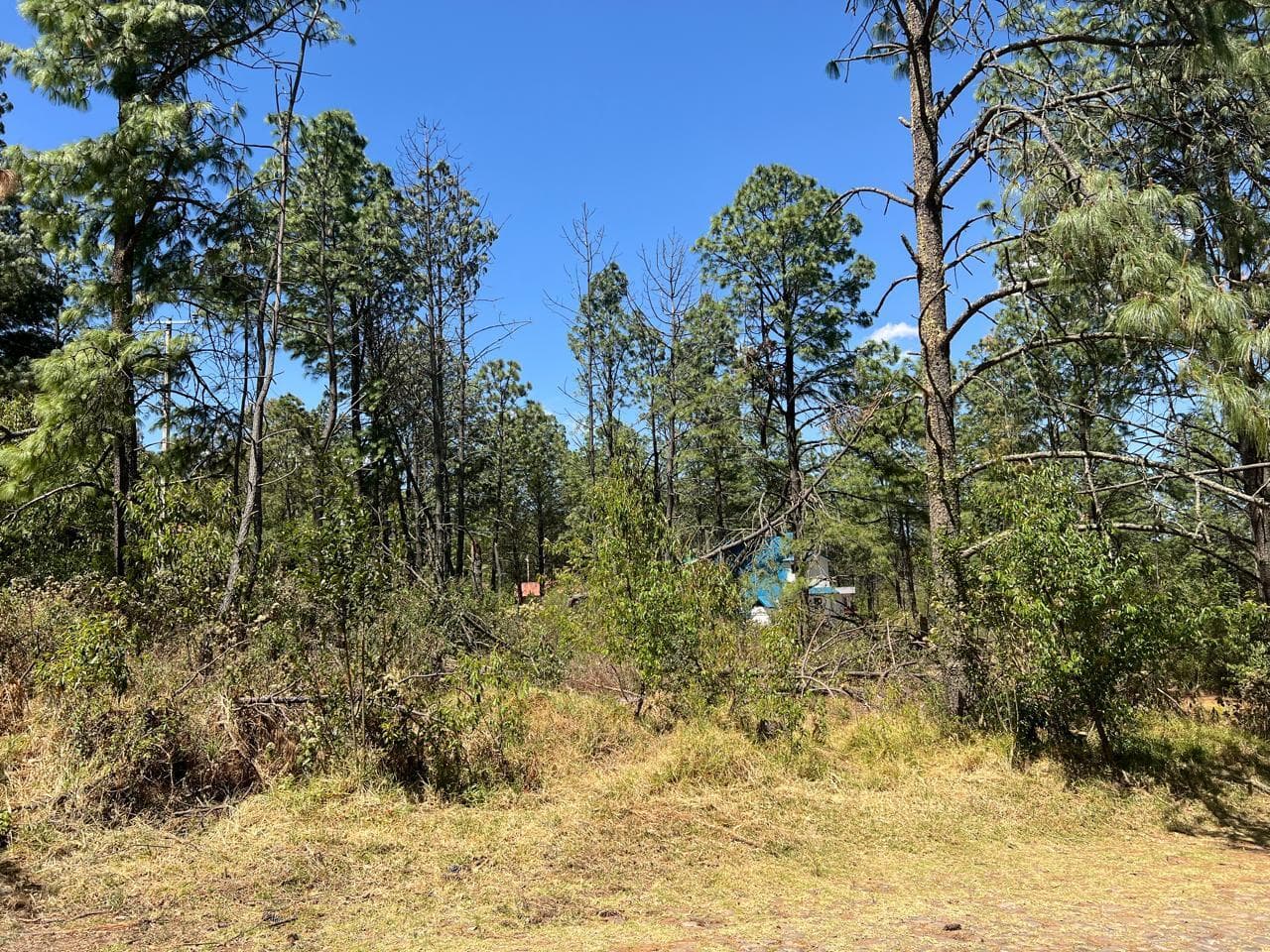 image-8