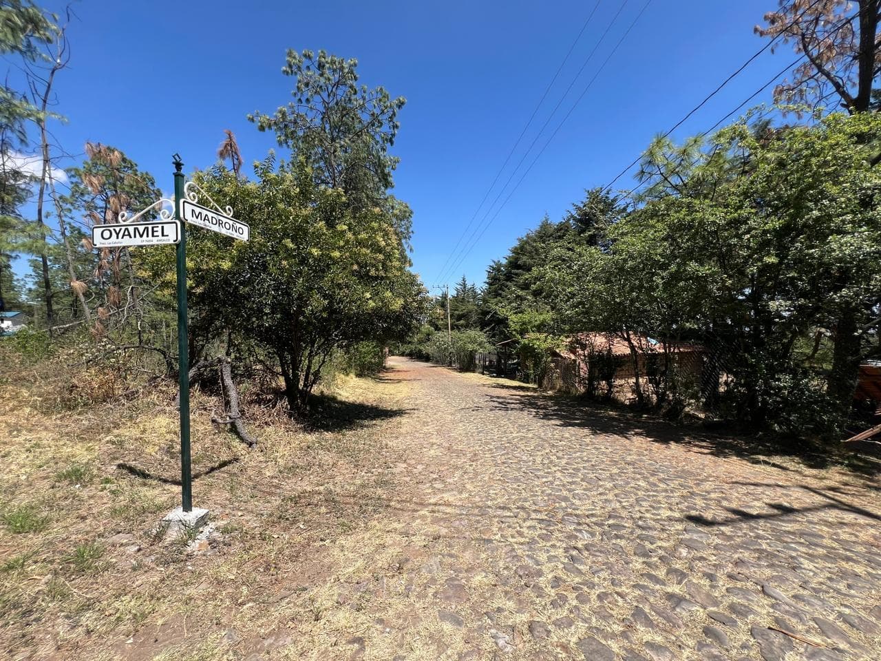 image-9