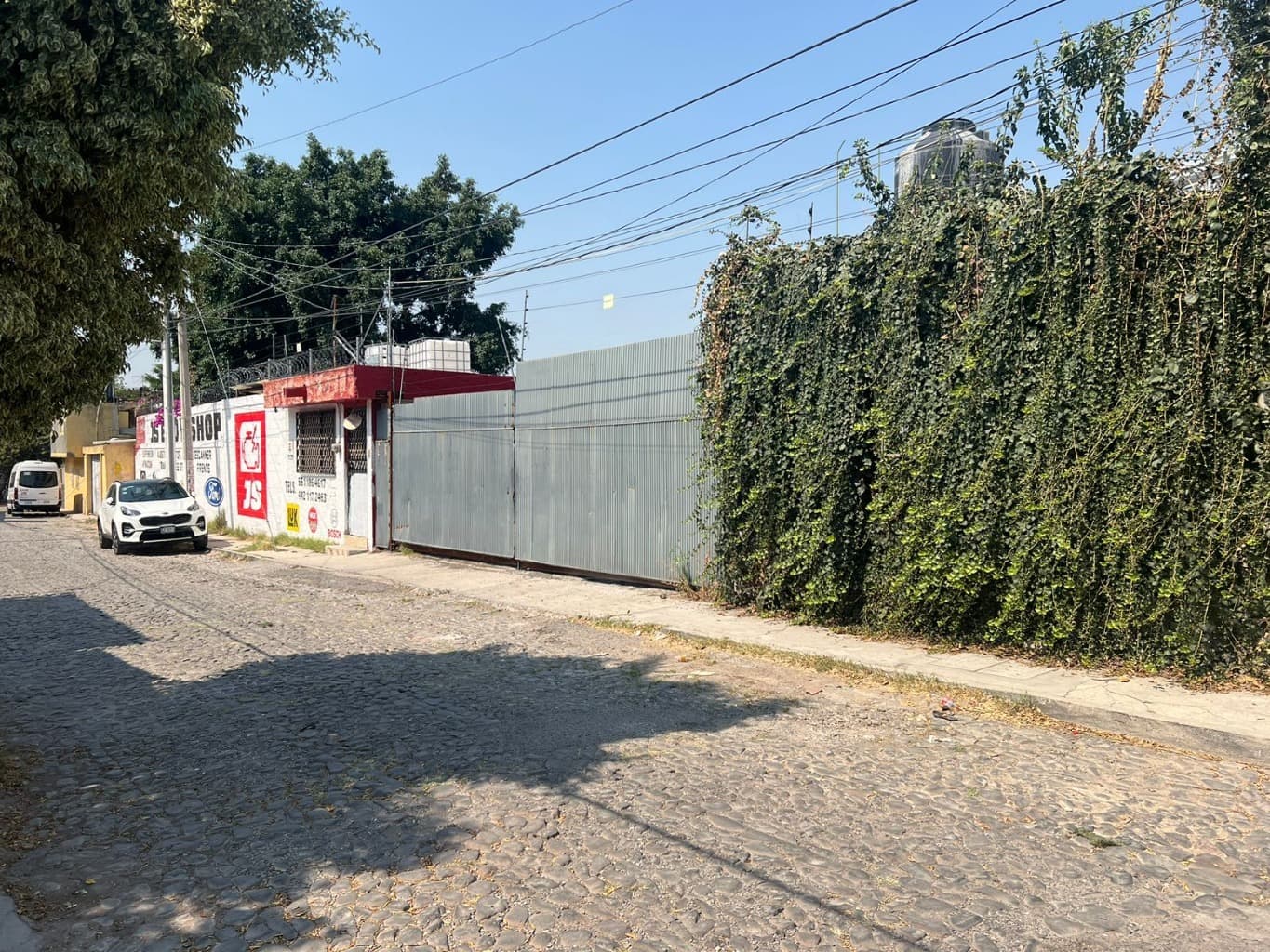 image-6