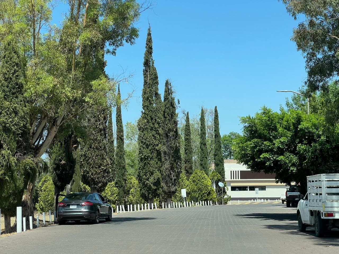 image-18
