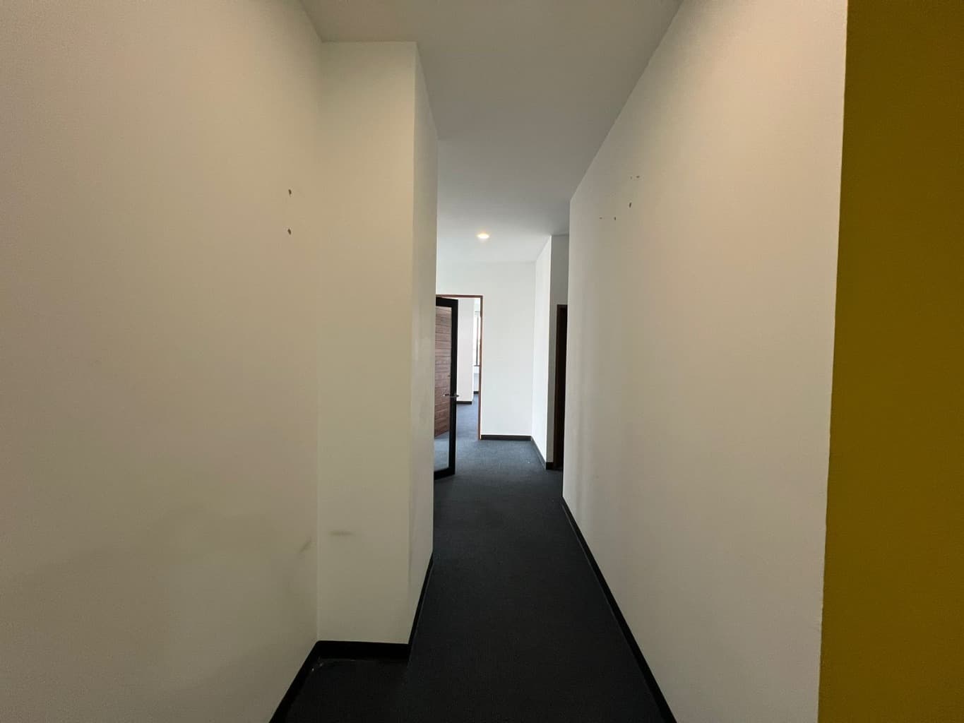 image-19