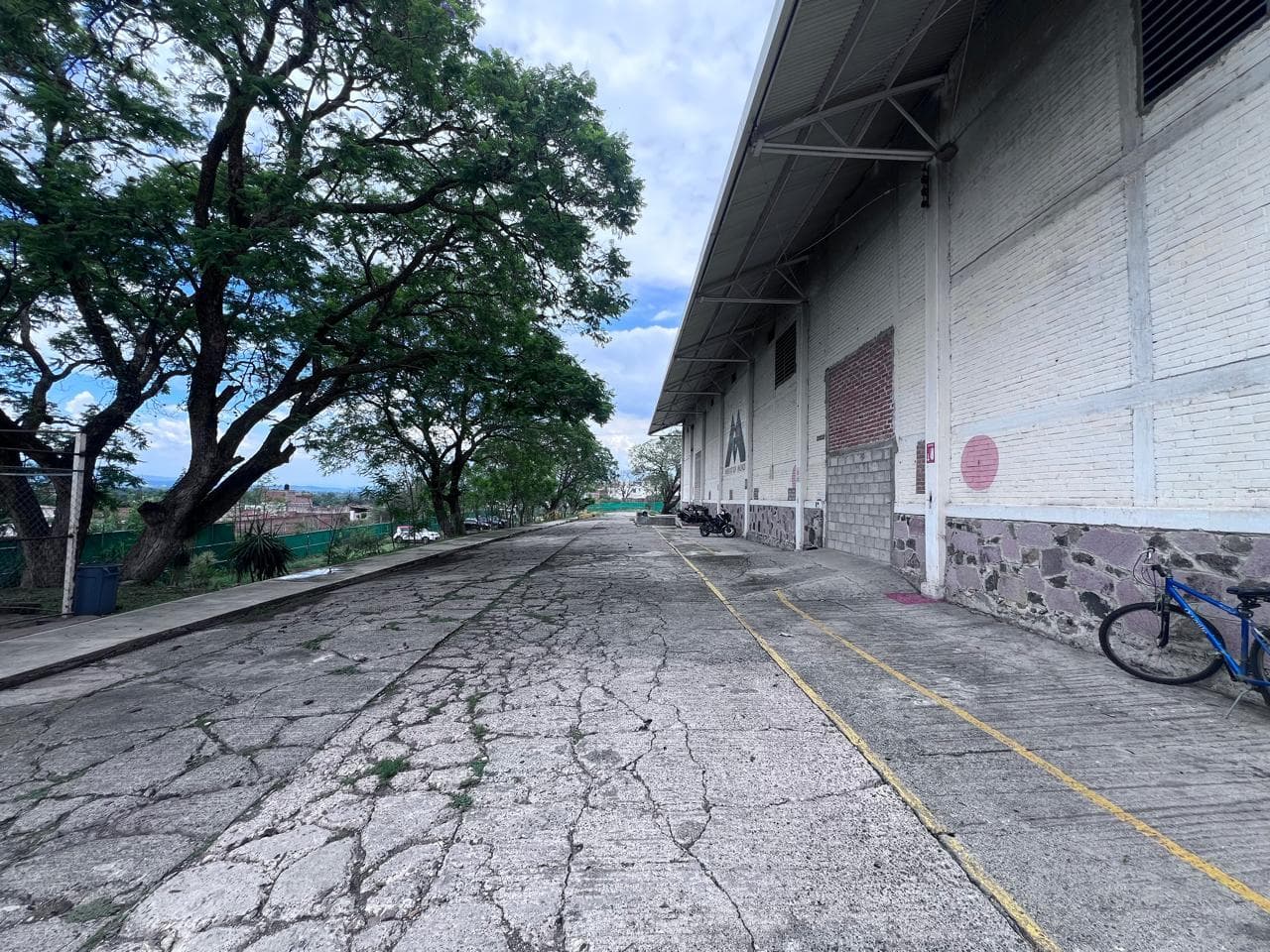 image-8