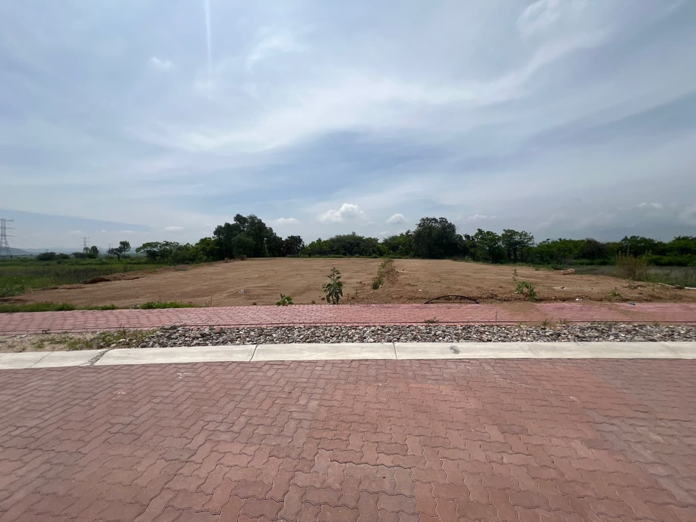 image-20