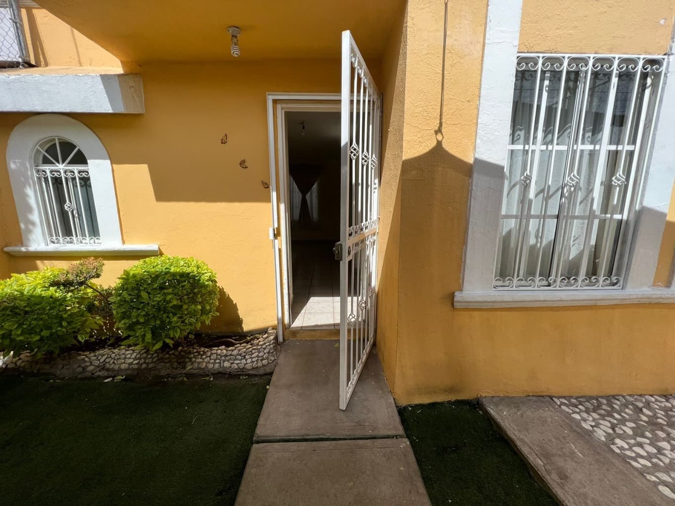 image-3