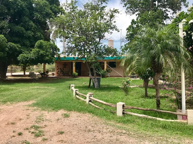 image-9