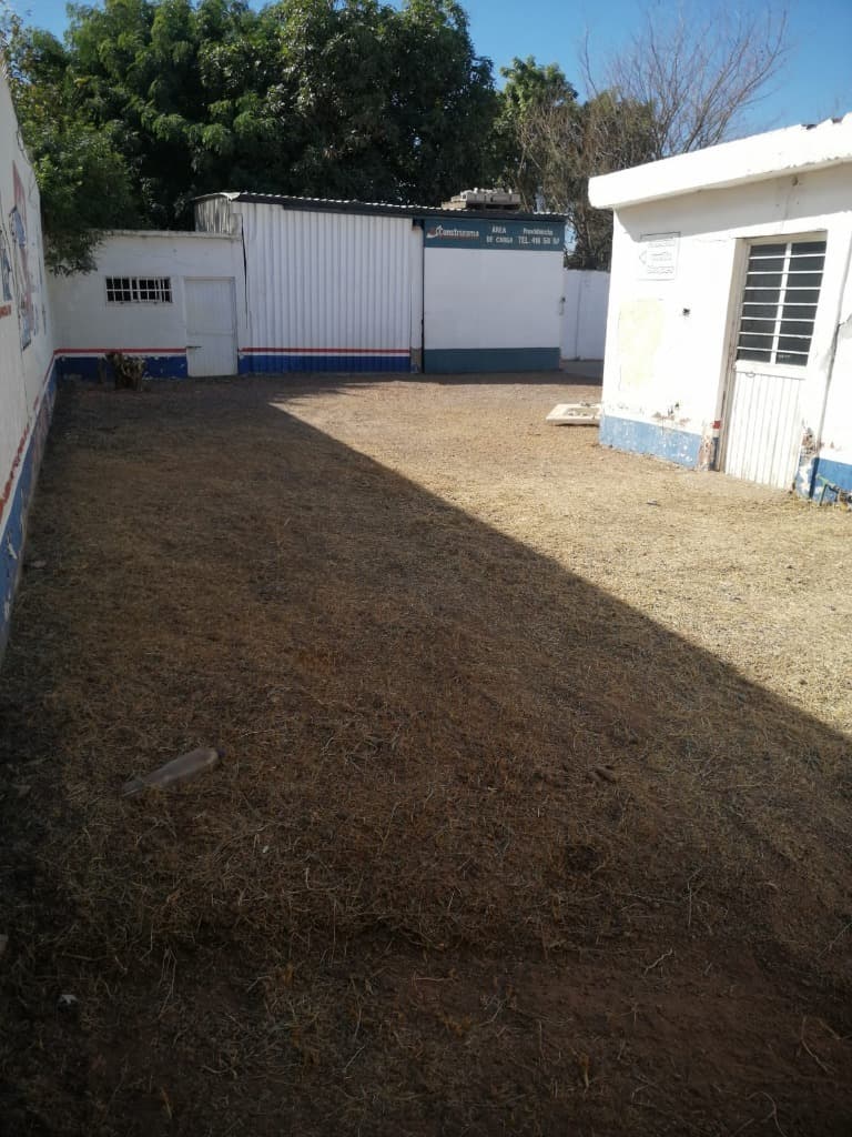 image-7