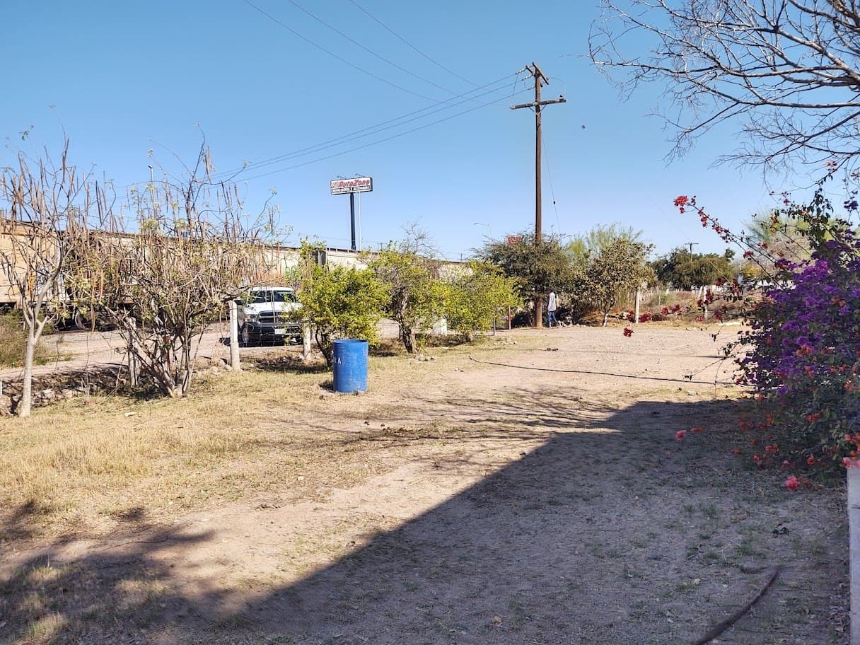 image-4