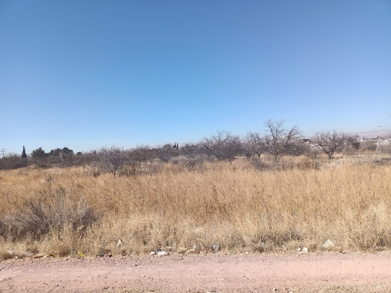 image-0