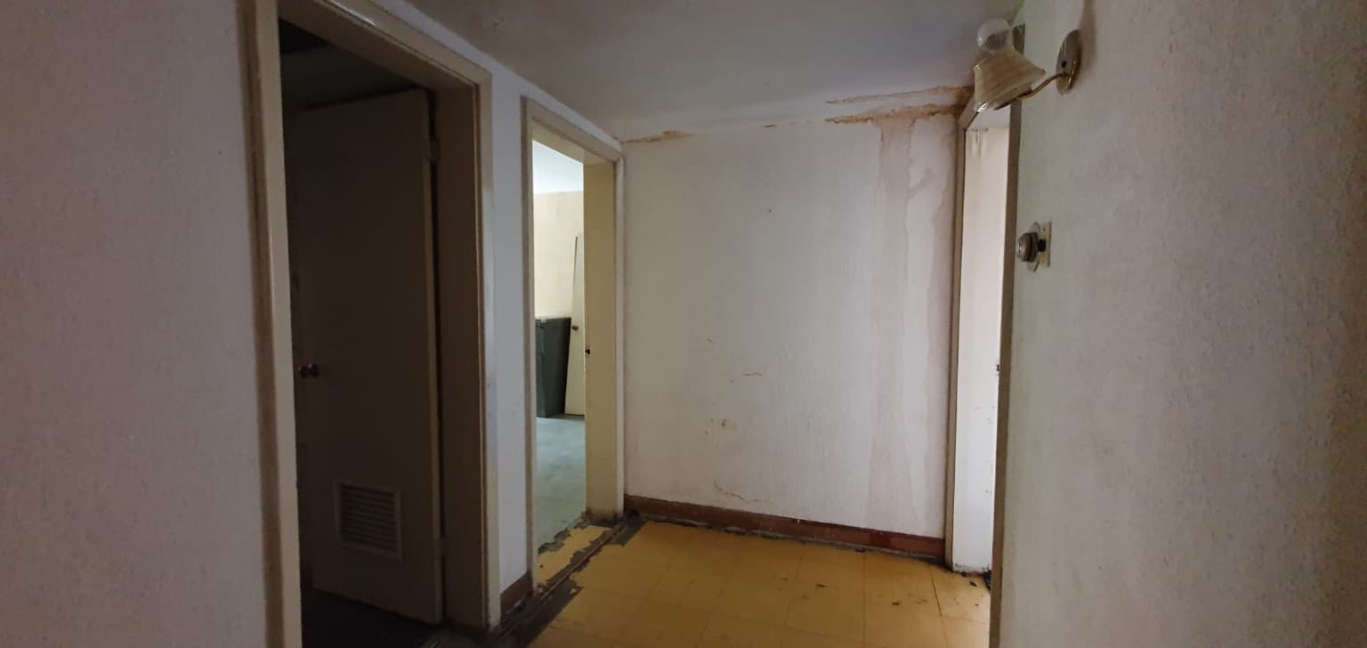 image-19