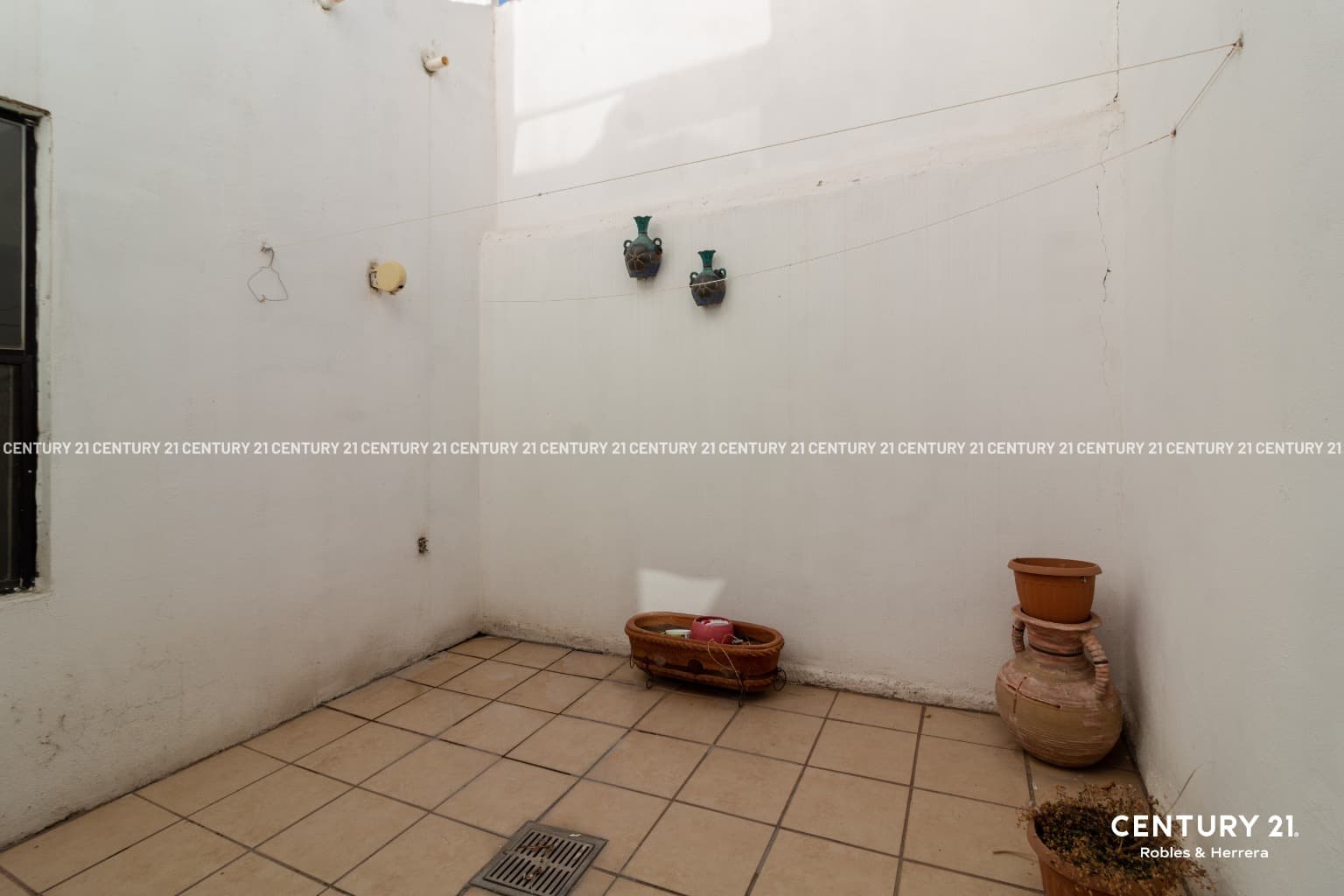 image-19