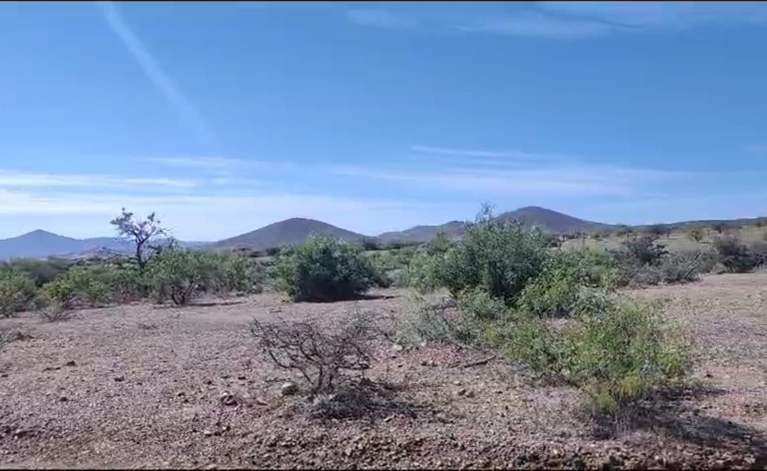 image-0