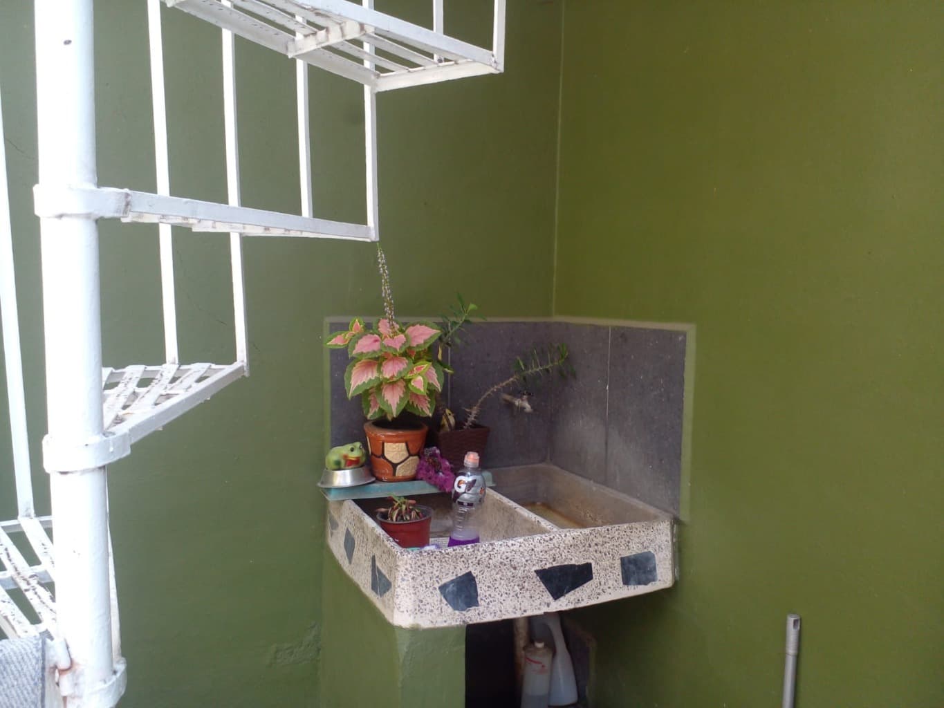 image-7