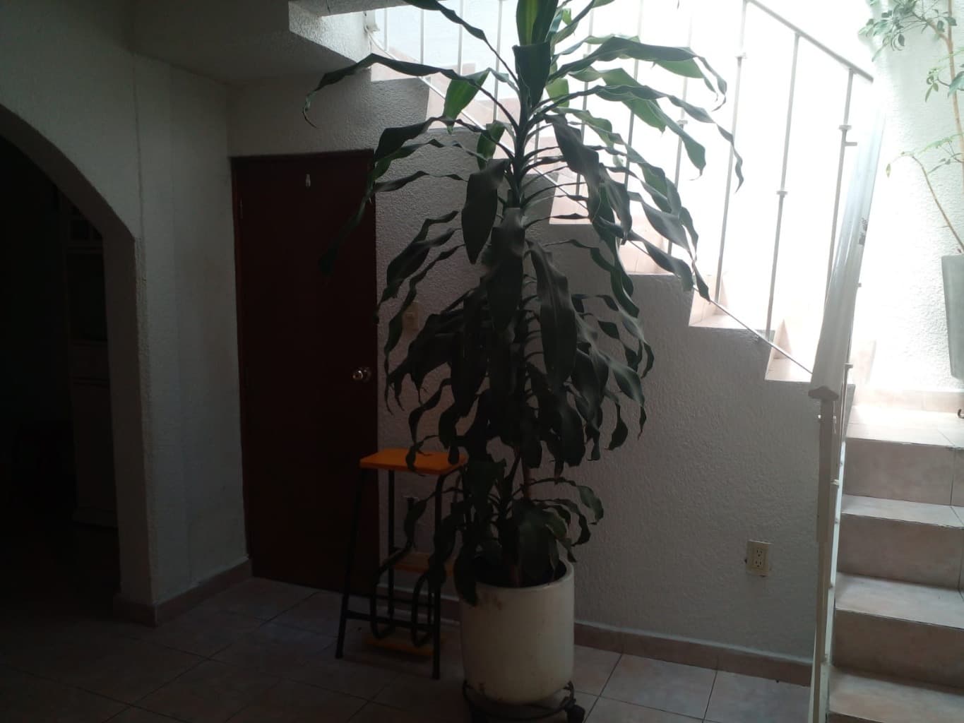 image-21