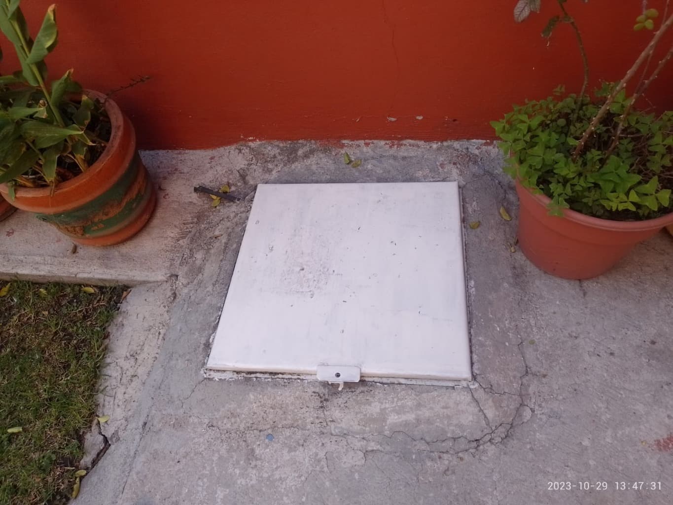 image-19