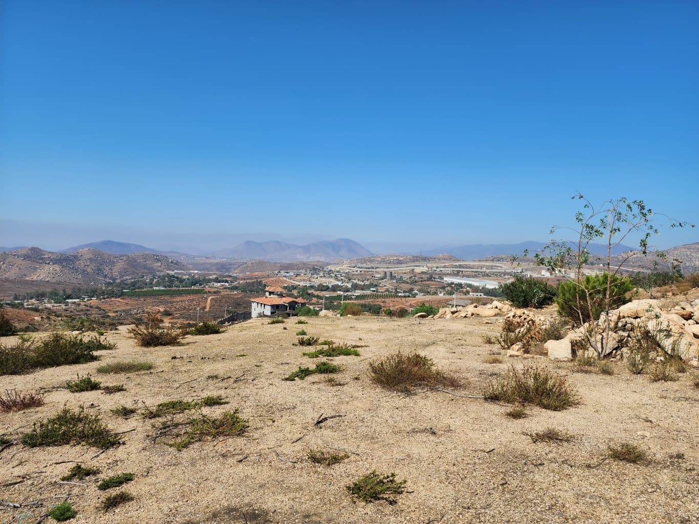 image-1