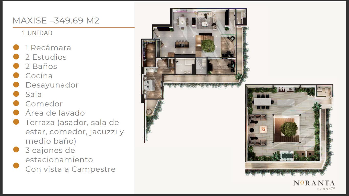 image-19