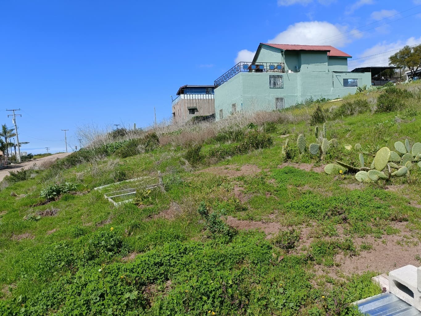 image-2