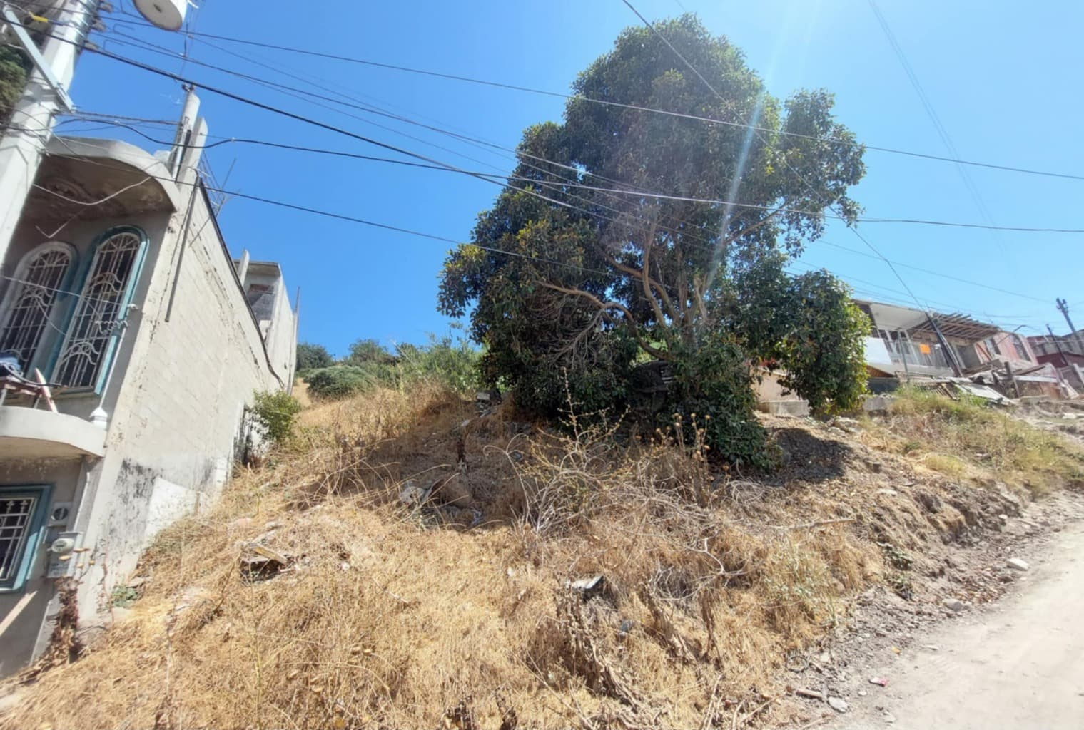 image-2