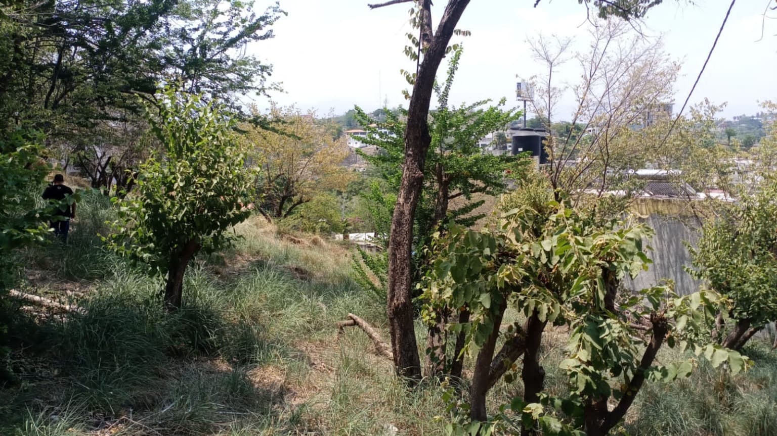 image-5