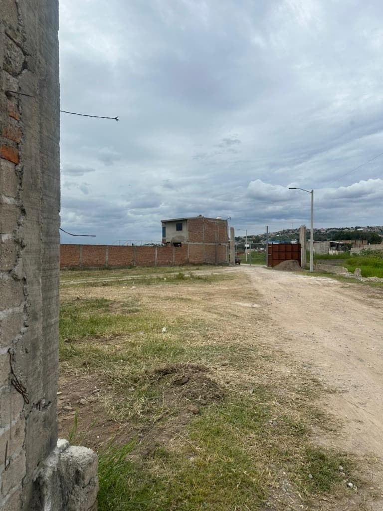 image-7