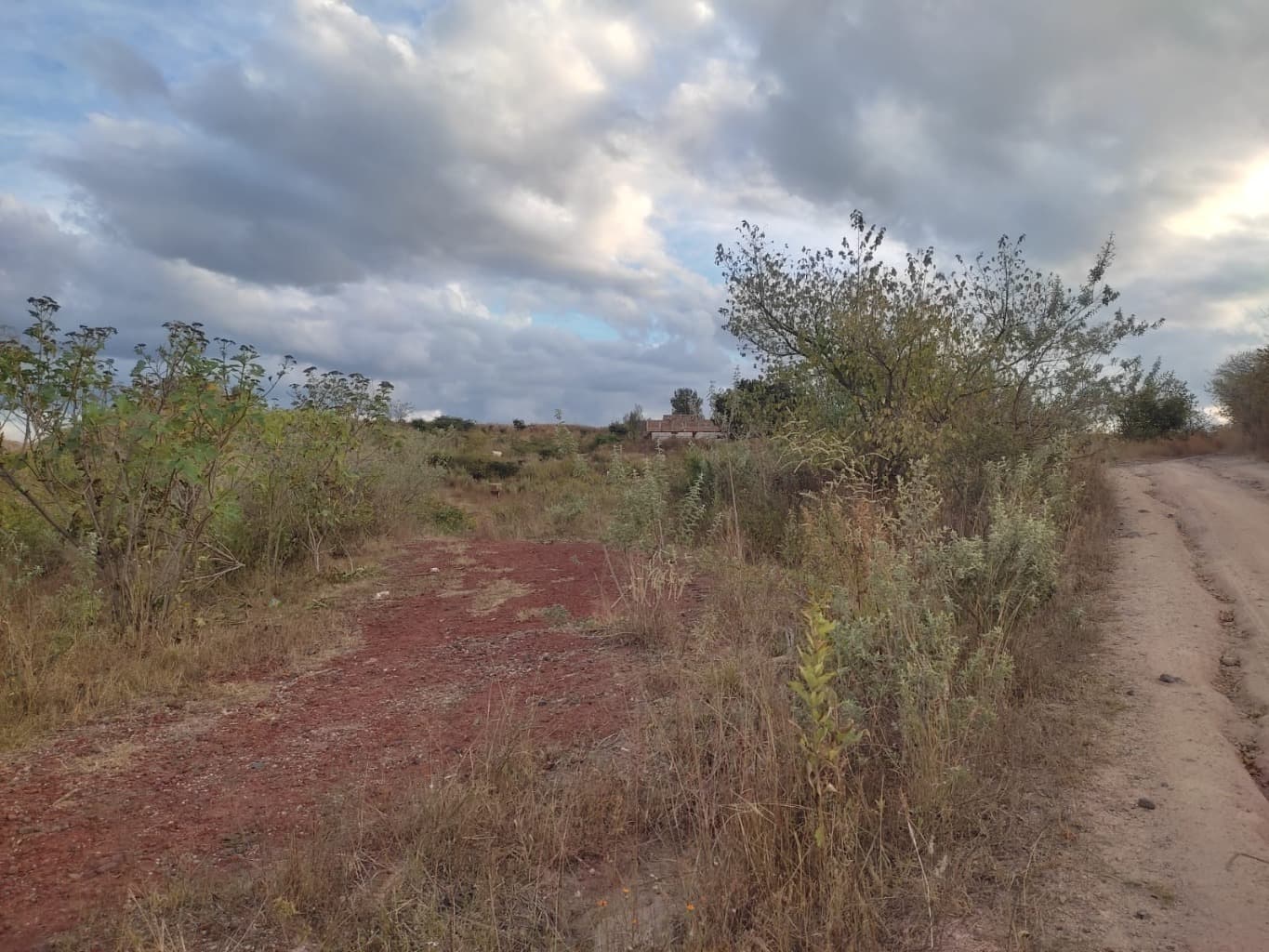 image-15