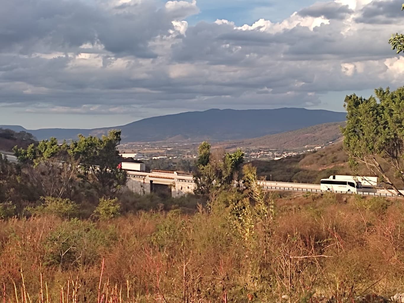 image-14