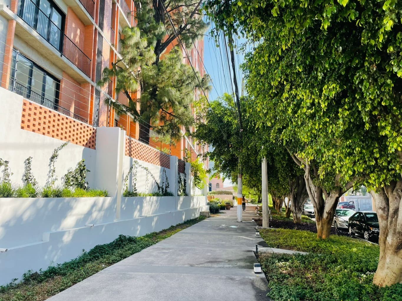 image-8