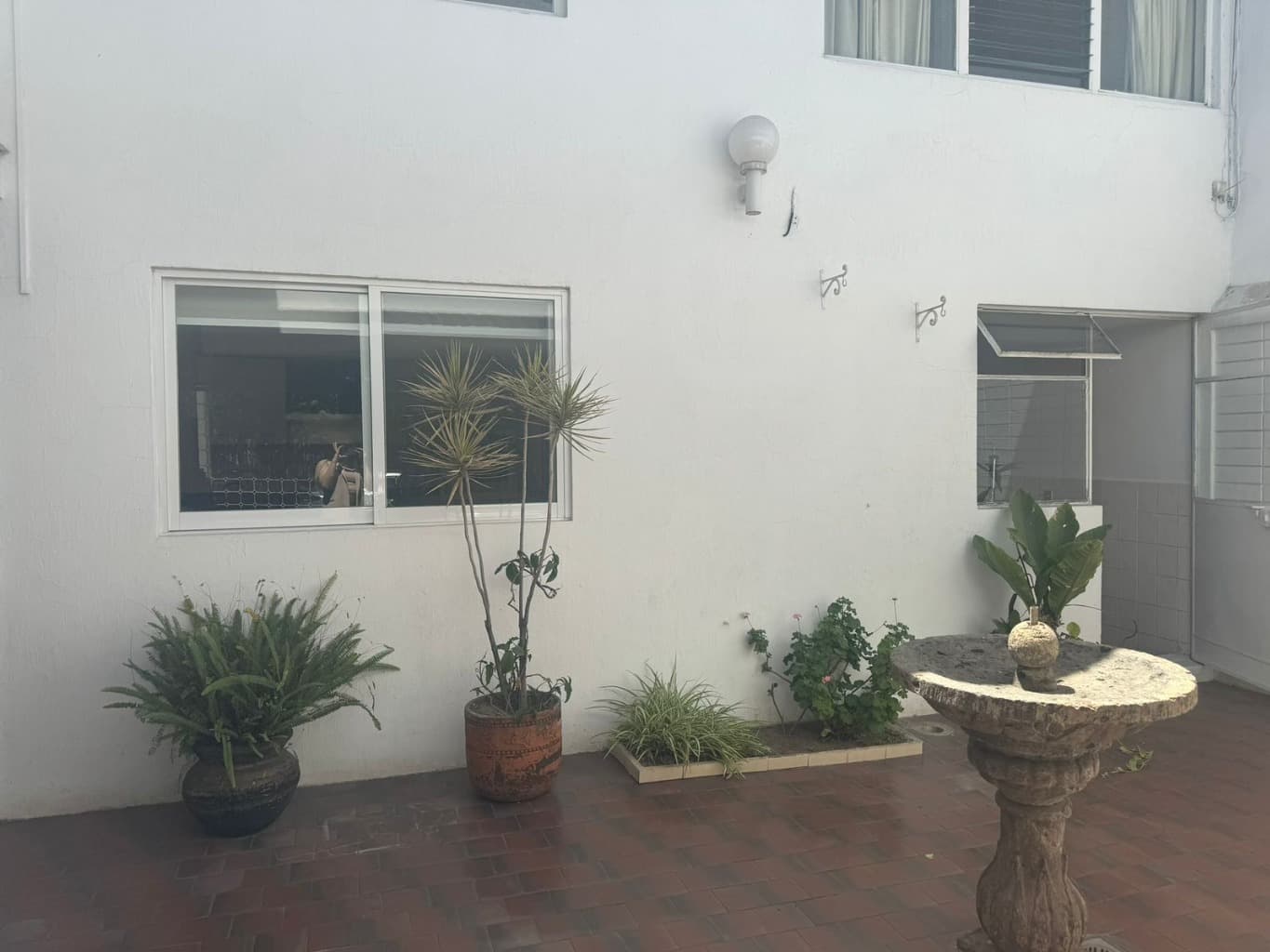 image-20