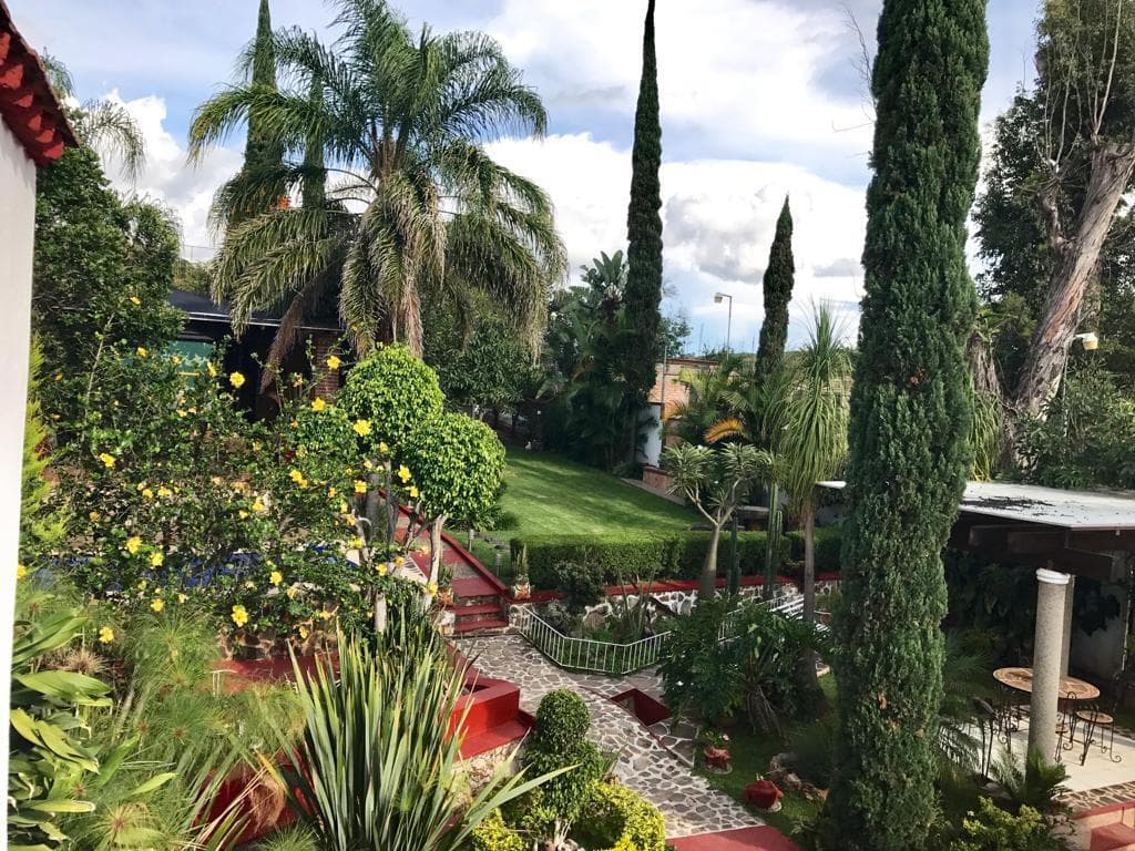 image-6