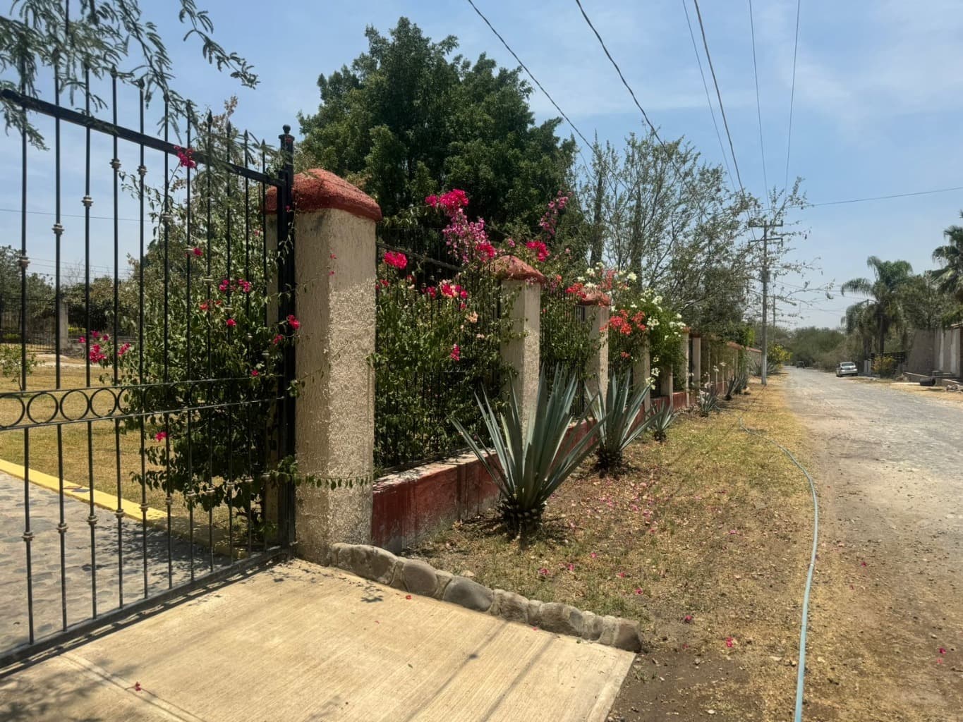 image-2