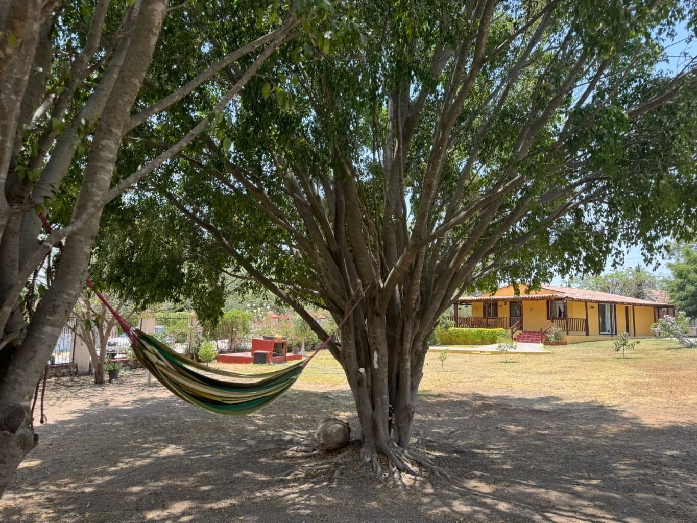 image-10