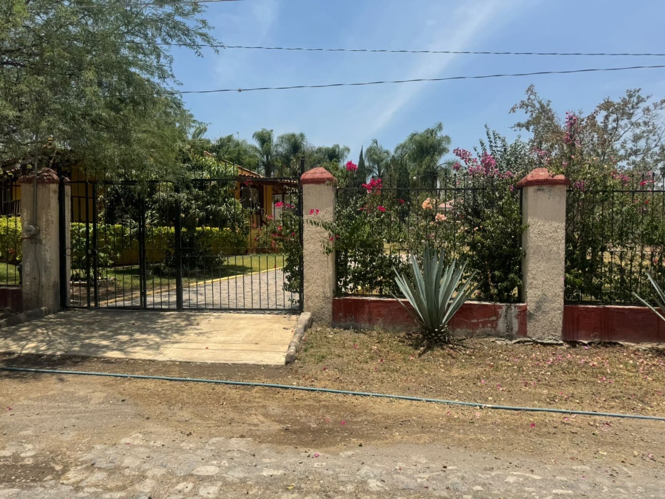 image-16