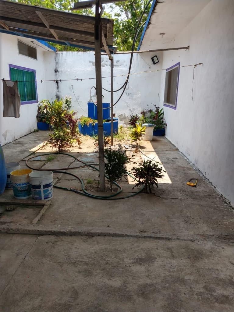 image-19