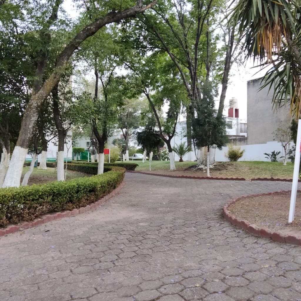 image-19