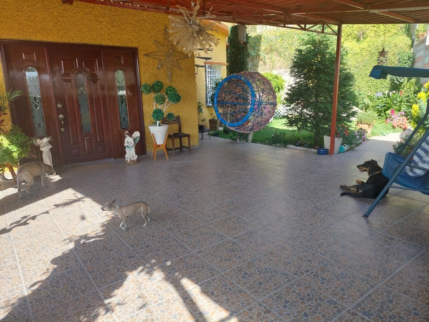 image-3