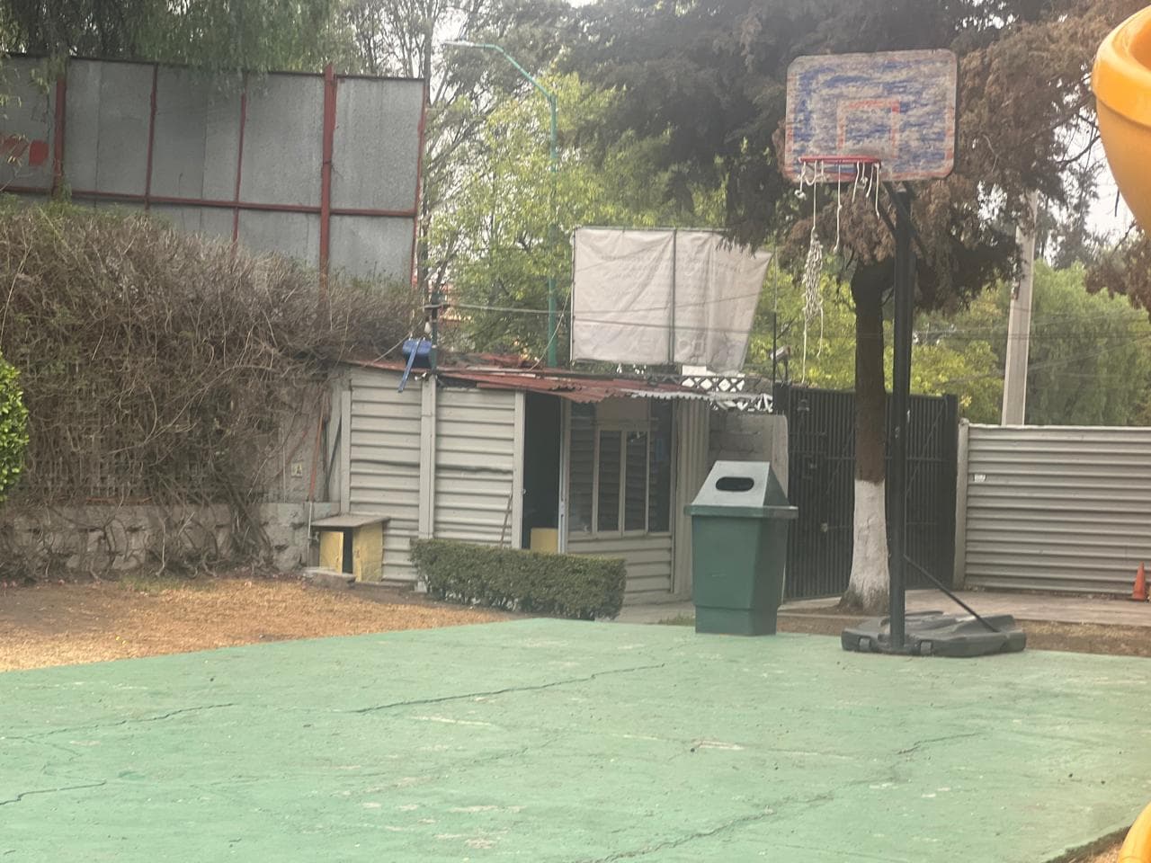 image-5