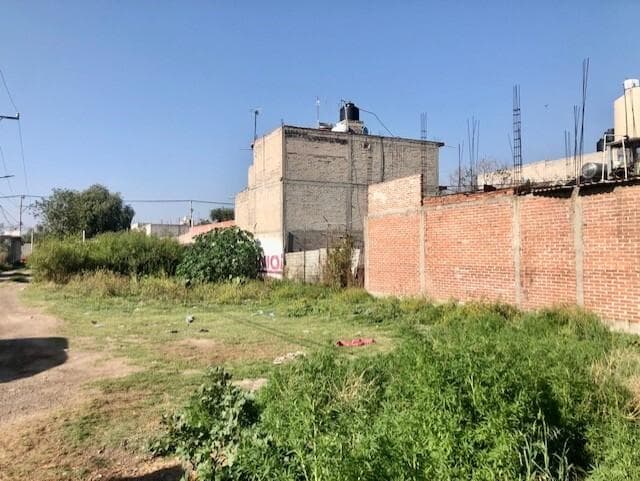 image-0