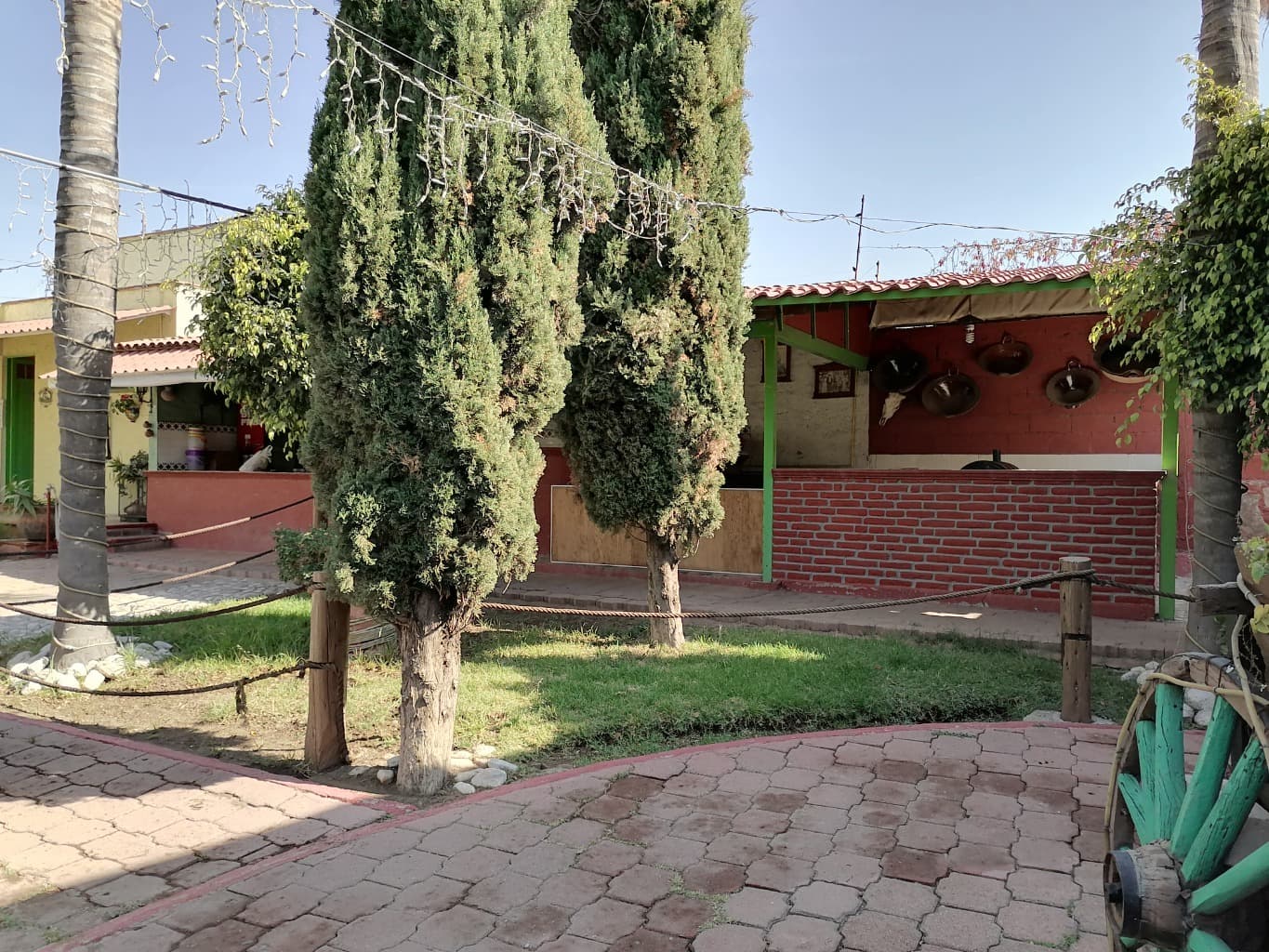 image-6