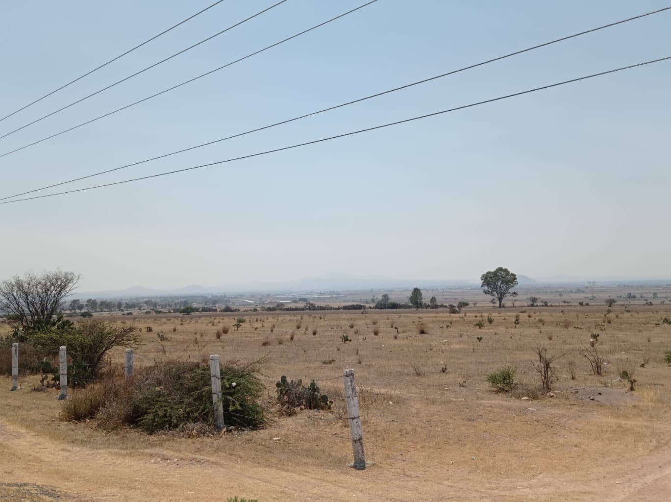 image-0