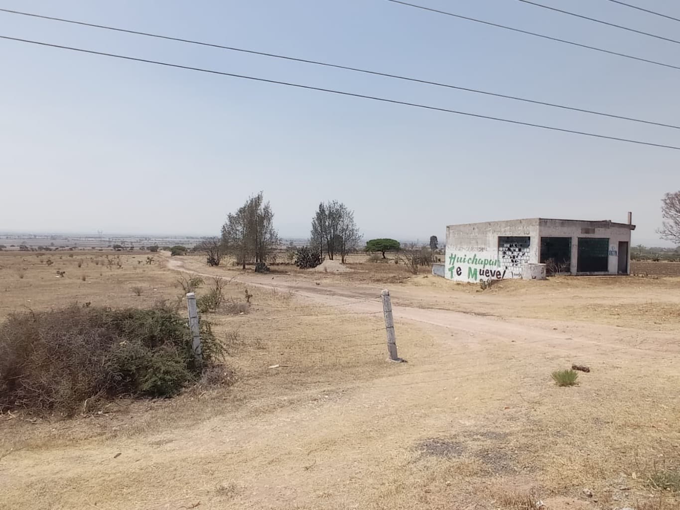 image-4