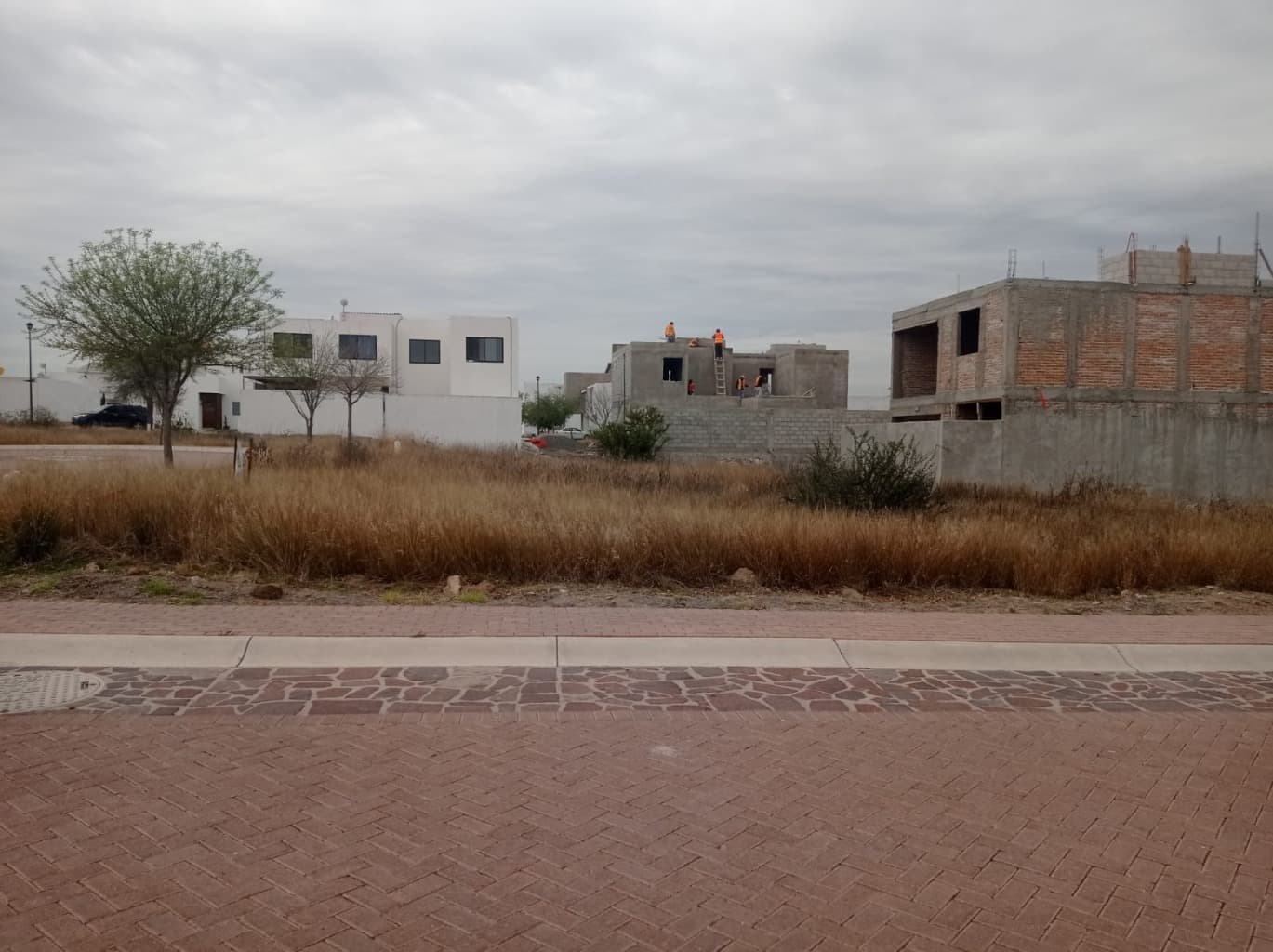 image-4