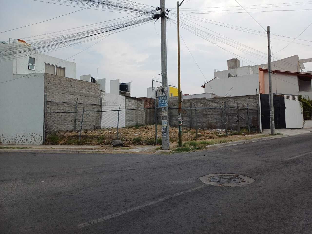 image-0