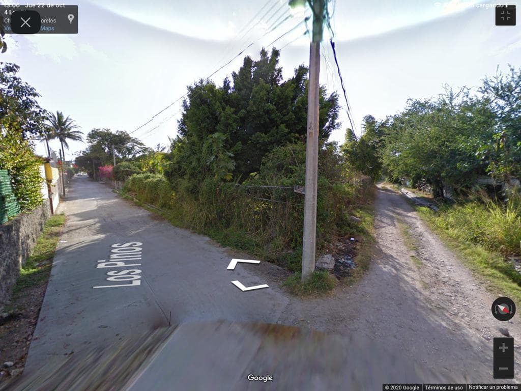 image-0