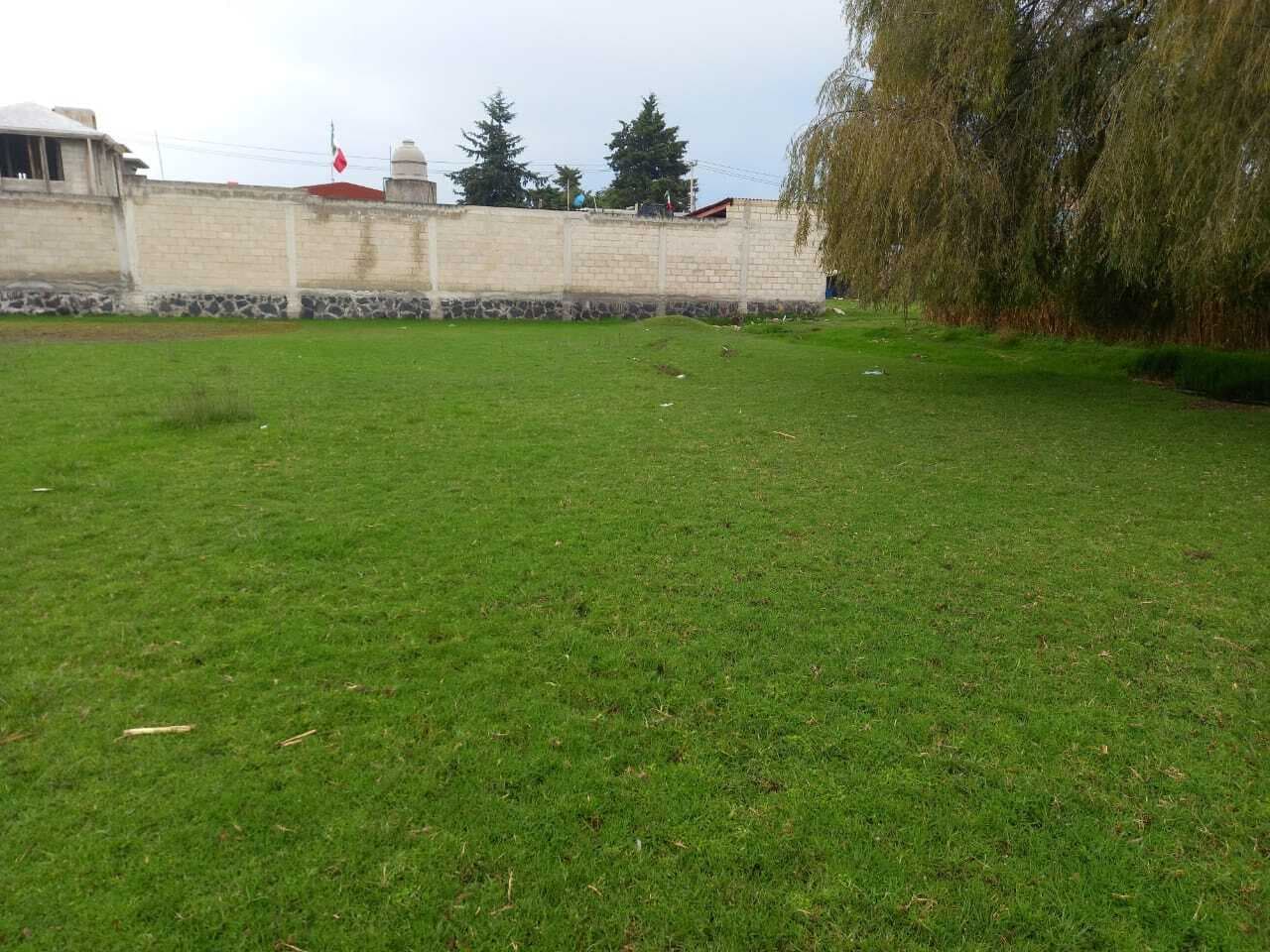 image-0