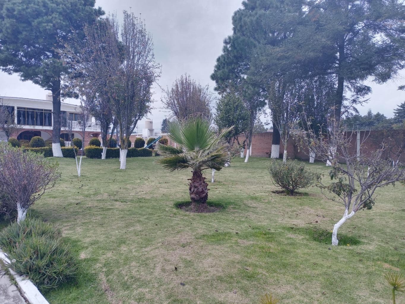 image-2